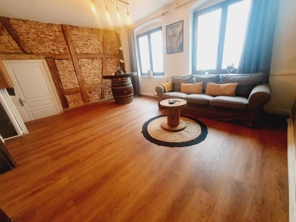 Aux Plaisirs D'Alsace Centre Historique Apartment ซิลิสตาต์ ภายนอก รูปภาพ