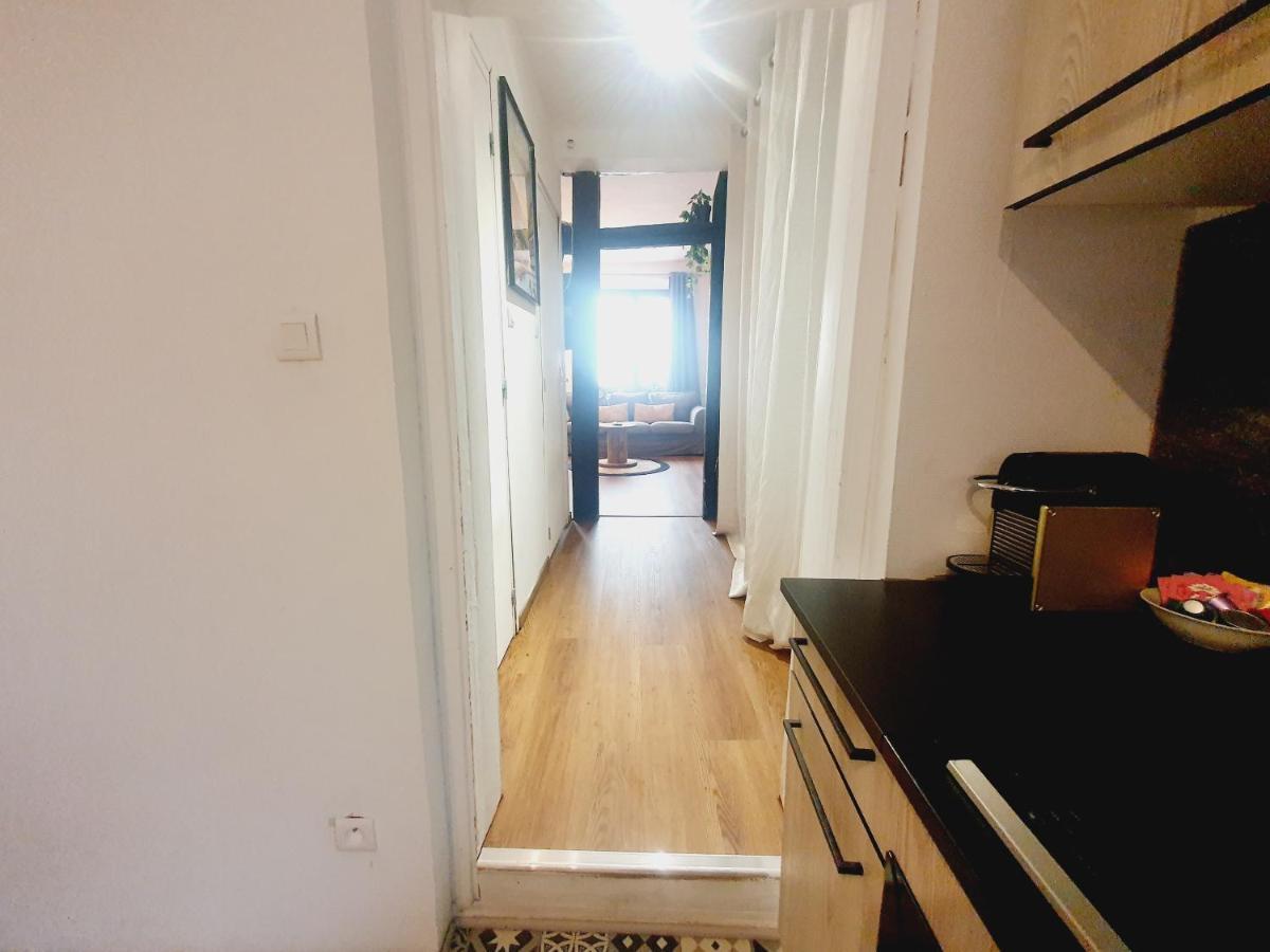 Aux Plaisirs D'Alsace Centre Historique Apartment ซิลิสตาต์ ภายนอก รูปภาพ